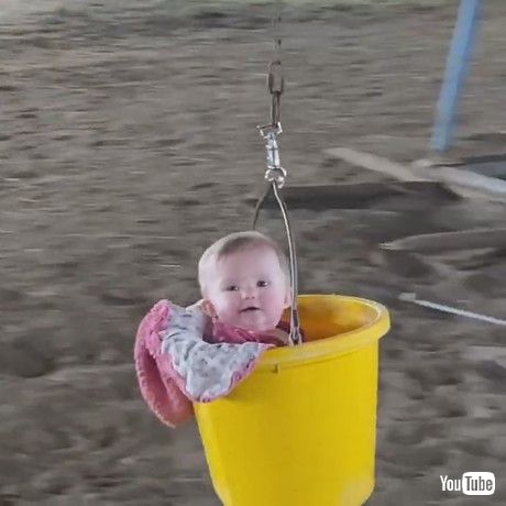 馬用ウォーキングマシンに下げたバケツに赤ちゃんがライドオン 遊園地のアトラクションのような遊びがとっても楽しそう 1 2 ページ ねとらぼ