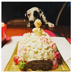 高岡早紀 誕生日 48歳 愛犬 ケーキ