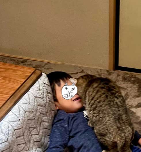 お風呂に呼ぶ父に息子が 行けるわけなかろーもん 猫さまとラブラブな光景に 息子さん正しい と賛同の声 ねとらぼ