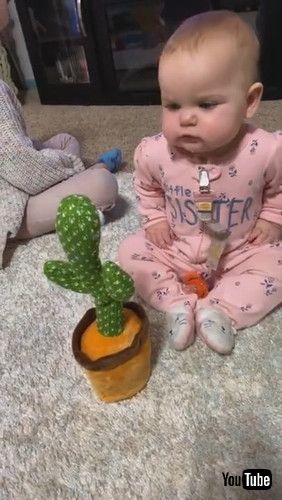 「Baby Has in Depth Conversation With Talking Cactus Toy || ViralHog」