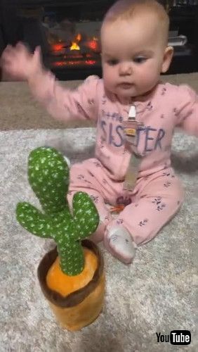 「Baby Has in Depth Conversation With Talking Cactus Toy || ViralHog」