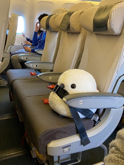 座席にシマエナガさんがちょこん 飛行機にぬいぐるみを持ち込んだ乗客が体験したcaさんの 粋な対応 がすてき ねとらぼ