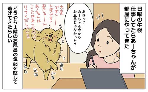 犬 お風呂 逃げる りんご 釣られ 漫画