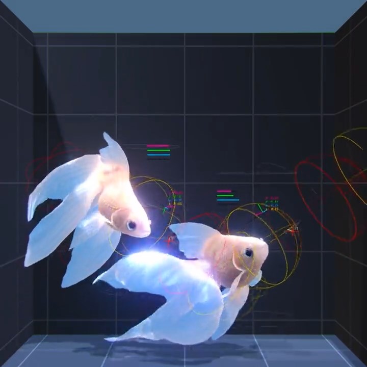本物かと思った Ai制御のcg金魚に驚きの声 ヒレを翻し優雅に泳ぐ姿にうっとり 1 2 ページ ねとらぼ