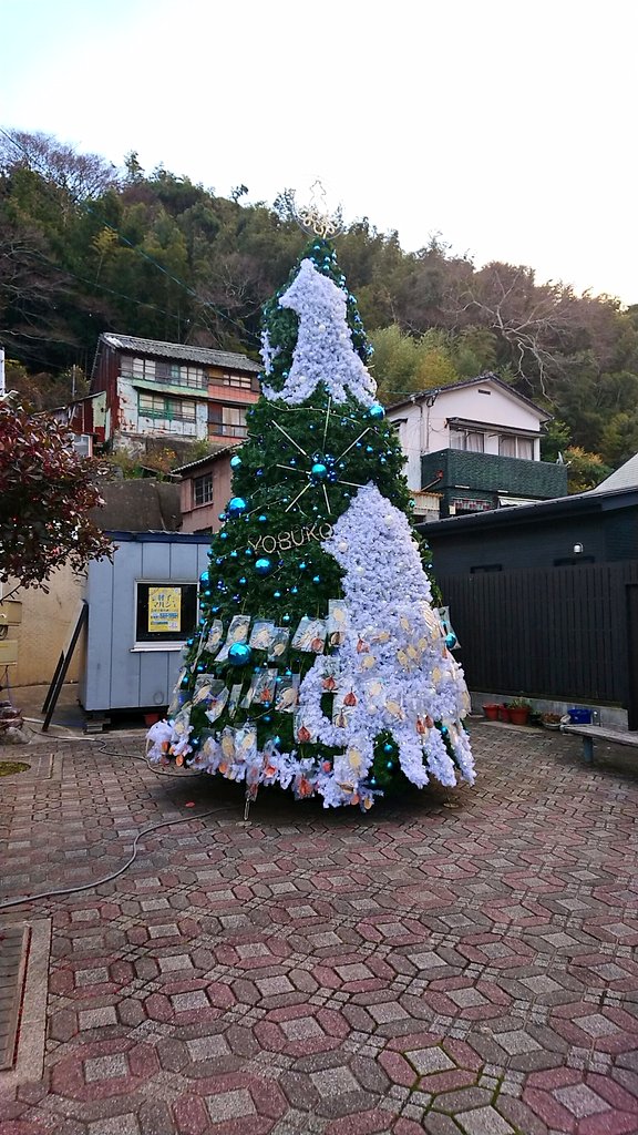 本物のイカで飾り付けた名状しがたいクリスマスツリーが話題 イカの名産地呼子が毎年開催 飾りの干物は持ち帰りok 1 2 ページ ねとらぼ