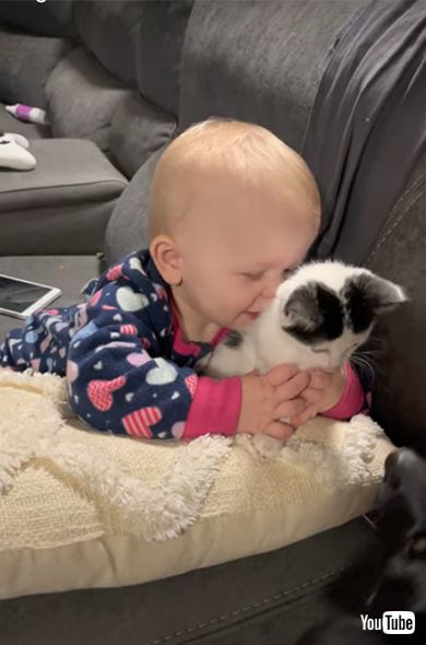 Baby Loves Her New Kitten || ViralHog