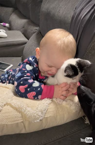 Baby Loves Her New Kitten || ViralHog