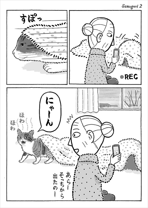 寒がり菊ちゃん 漫画 無料 猫 ほっこり おばあちゃん 猫