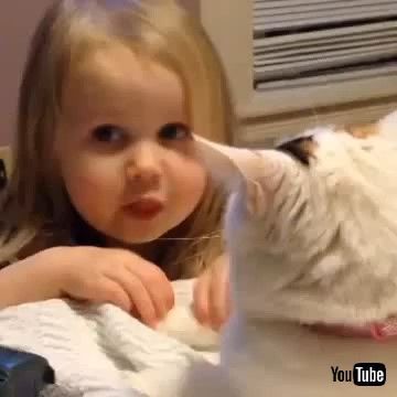 uToddler Annoys Cat - 1269304v