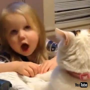 uToddler Annoys Cat - 1269304v