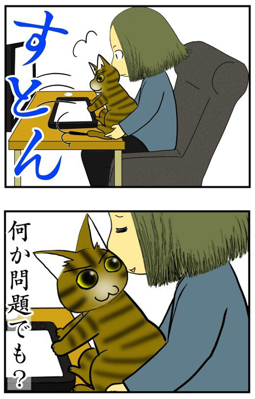 漫画3枚目 猫漫画 面白い 無料 ネコ かわいい 席を譲る メンコスケダモノ ノルウェージャン キジトラ