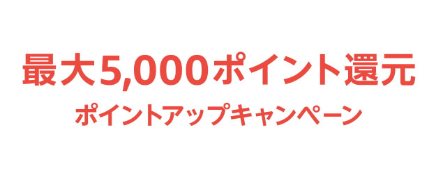 Amazon 初売り ポイントアップキャンペーンは最大6 上限5000ポイントまで還元 1 2 ページ ねとらぼ