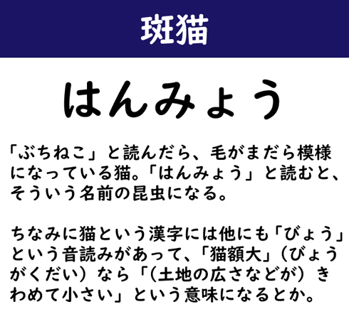 なんて読む 今日の難読漢字 泥濘む 11 11 ページ ねとらぼ