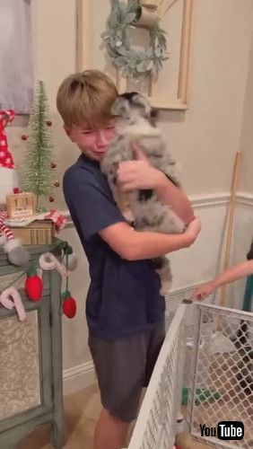 uChild Overcome with Emotion at Seeing Family's New Puppy || ViralHogv