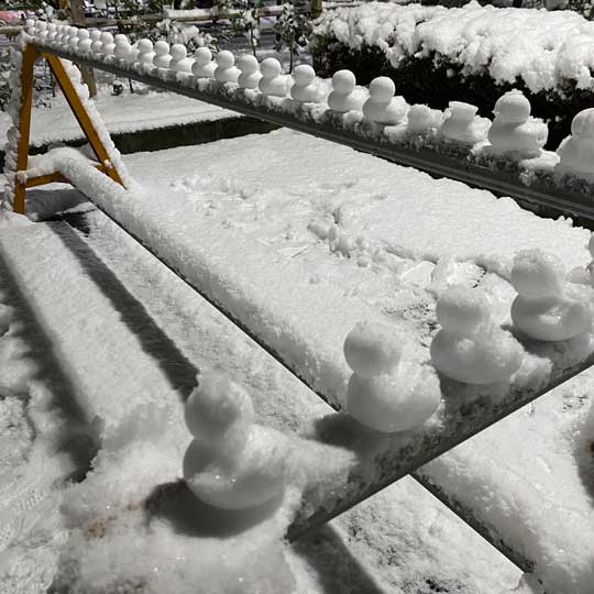 雪 ひよこ 製造業 作る 雪玉づくり