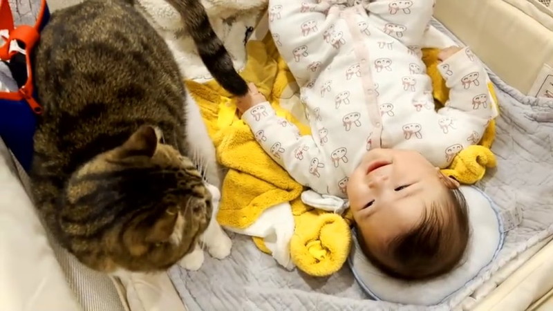 赤ちゃんが自分を見守る猫に気付き……“にっこり” 花が咲くような笑顔に