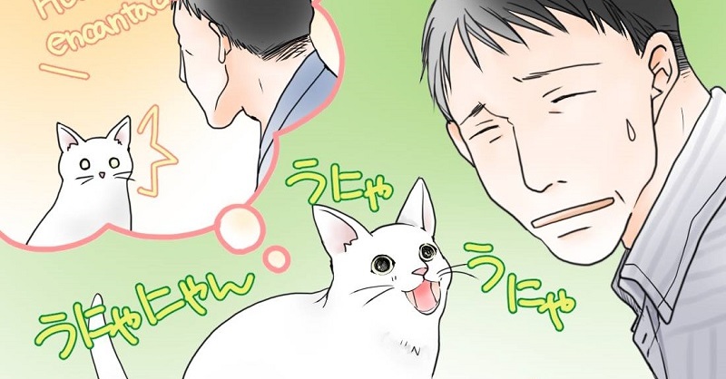 びっくりハプニング 猫に外国語で話しかけたら あんたしゃべれるじゃない と甘えてくるように 1 2 ページ ねとらぼ