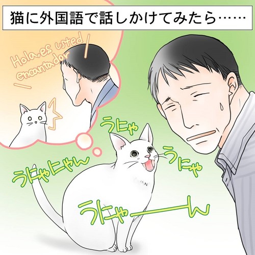 猫 外国語 反応 猫語 ネコ かわいい 面白 イラスト 漫画