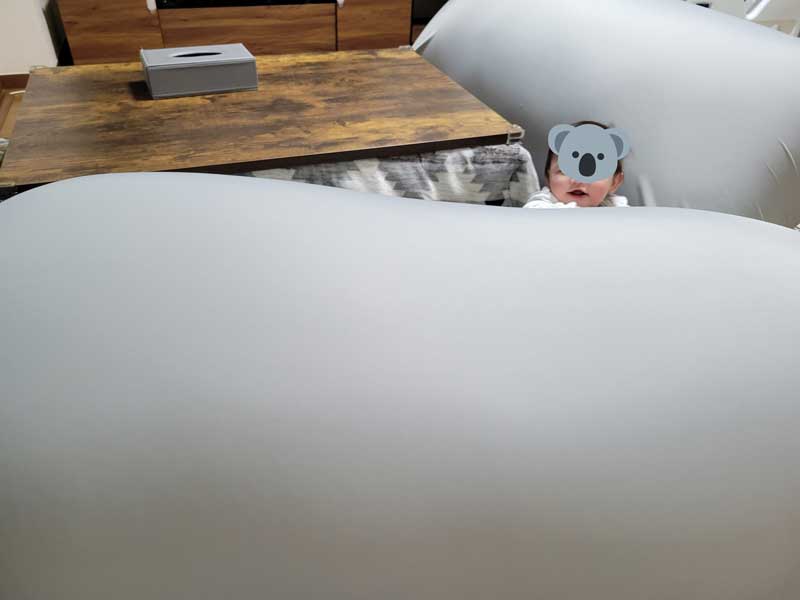 ビーズソファ サイズミスって家が埋まった ヨギボーで家がギューギューになった光景に 笑い止まらない 合成かと思ったｗ 1 2 ページ ねとらぼ