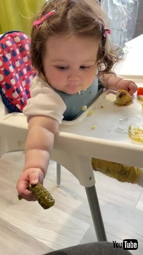 「Baby Throws Pickle on Floor Immediately After Being Told Not to - 1279608」 赤ちゃん 動画 かわいい