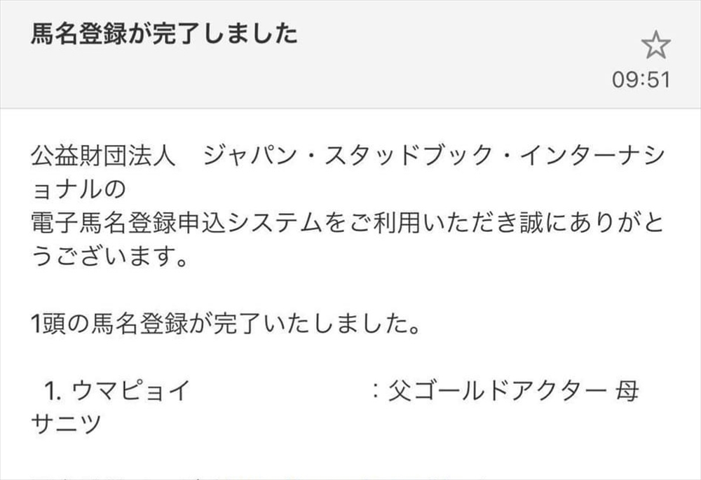 珍名競走馬 ウマピョイ が爆誕 名前の由来は 馬が飛び跳ねる からとウマ娘の画像を添えて紹介 1 2 ページ ねとらぼ