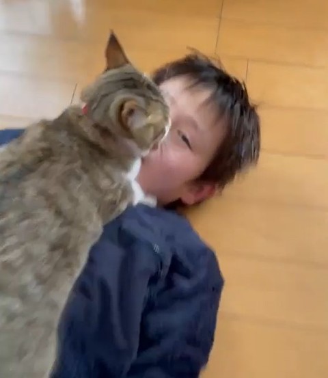 猫とお兄ちゃんのキス？
