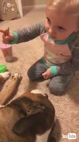 「Little Girl Scolds Dog For Chewing Up Toys - 1289389」