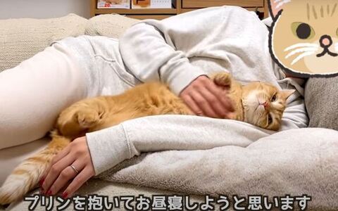 猫の腕枕
