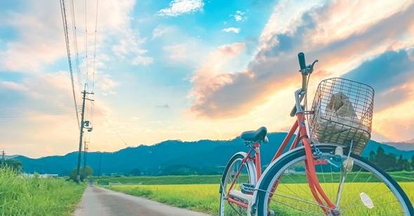 日本の懐かしい風景写真に ジブリを感じる 色彩あふれる美しい景色に ほんときれい と感嘆の声 1 2 ページ ねとらぼ