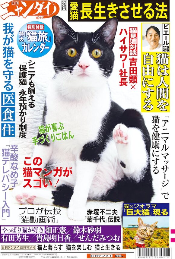 日刊ゲンダイの特別号「日刊ニャンダイ2022」が発売 猫だらけの1冊に猫