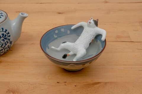 茶碗風呂に入る猫