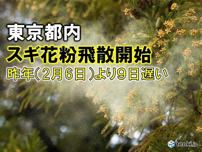 東京都内でスギ花粉が飛散開始 例年より9日遅く ねとらぼ