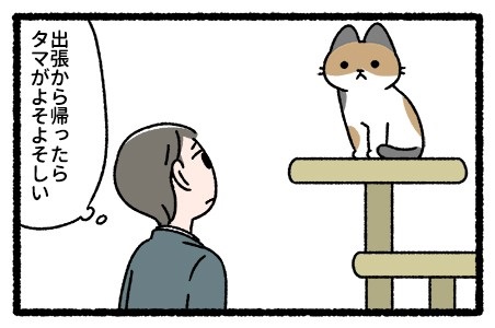 猫は三年の恩を三日で忘れる というけど 猫の言い分を描いた漫画に 心当たりがありすぎます 1 2 ページ ねとらぼ