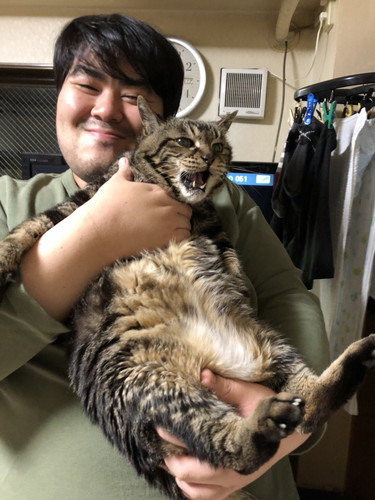 澤部さんと猫ちゃん