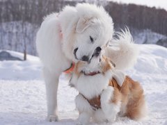 Nzmikdnbpuiaqm Nzmikdnbpuiaqm