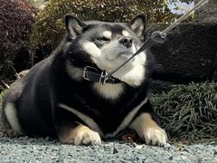 Nzmikdnbpuiaqm Nzmikdnbpuiaqm