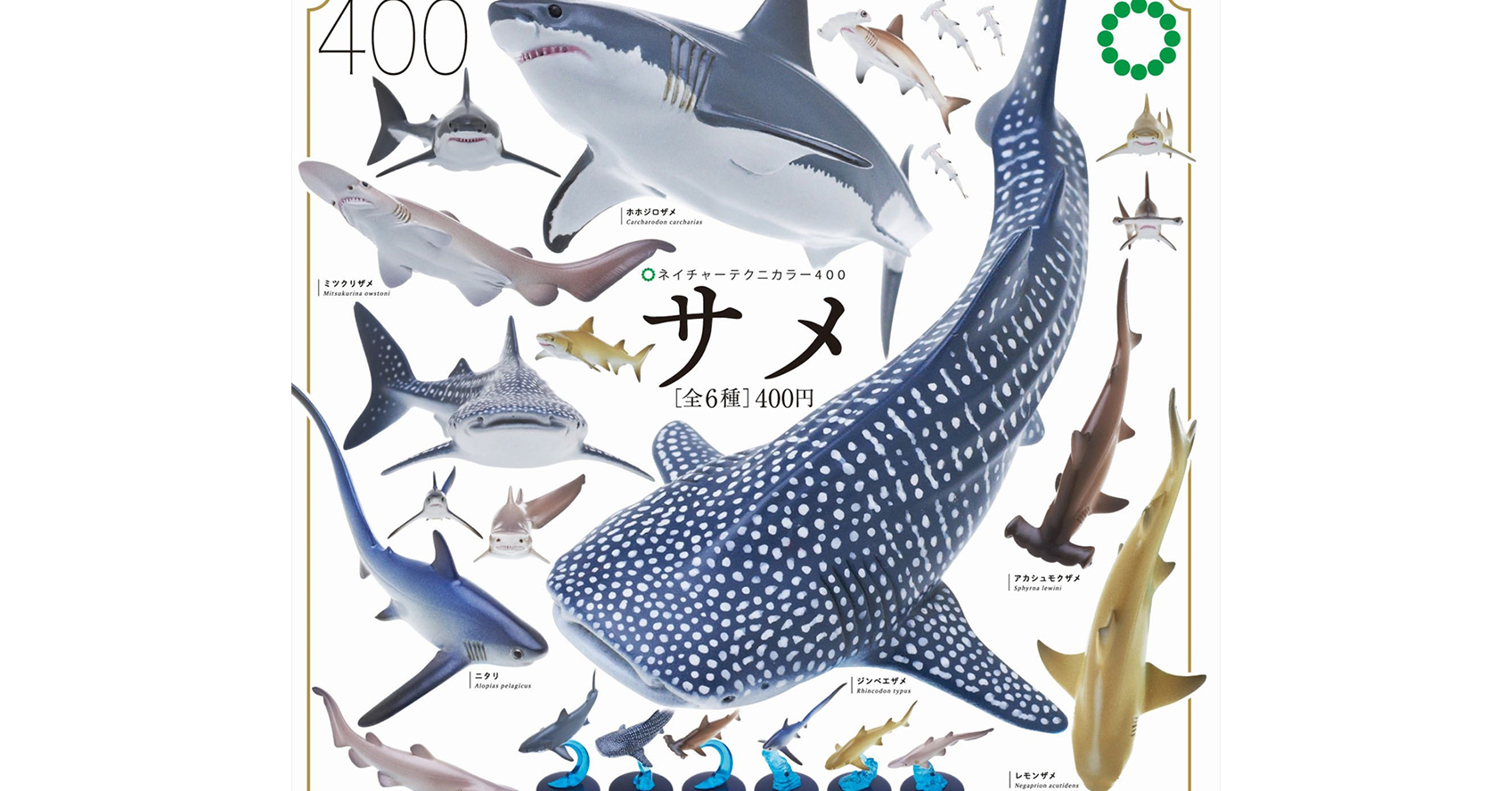 リアルすぎるサメのカプセルトイ発売 ホホジロザメやジンベエザメなど水族館にいるような躍動感 1 2 ページ ねとらぼ