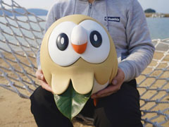 ポケモン モクロー を実寸大で再現した粘土細工が癒やしの塊 振り向きざまのキュートな目玉がたまらなくいとおしい 2 2 ページ ねとらぼ