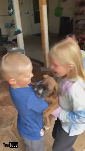 uParents Surprise Siblings With Puppy || ViralHogv