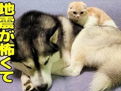 95ax6isxr6mitm 95ax6isxr6mitm