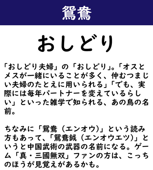 なんて読む 今日の難読漢字 鴛鴦 2 11 ページ ねとらぼ