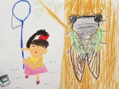 小学一年生が描いたとは！！！」「小1の絵には見えない」 女の子が描いた“セミとり”の絵のすごすぎるアングルに43万件超えの「いいね」（1/2 ページ）  - ねとらぼ