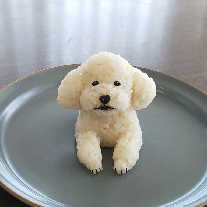 トイプードルのおにぎりが かわいい 食べられない と話題に ちょこんと座ったモコモコ姿を完全再現 1 2 ページ ねとらぼ