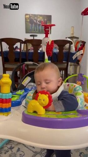 「Toddler Falls Asleep While Playing in Baby Walker - 1308272」