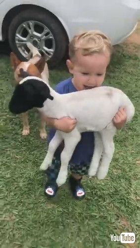 「Kid Has His Hands Full on the Farm || ViralHog」