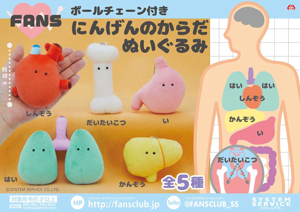 心臓や大腿骨がかわいいぬいぐるみに！ 人間の部位が手乗りになった