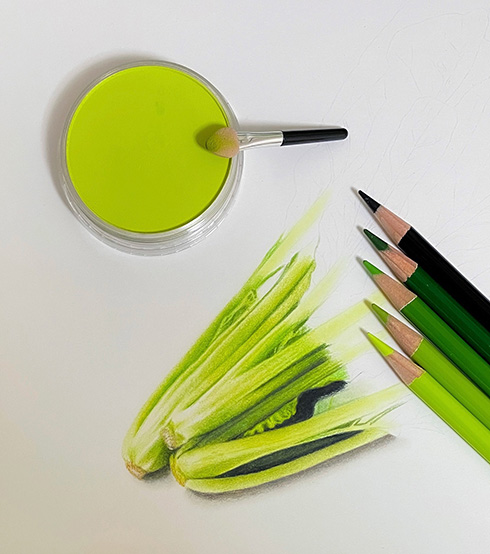 色鉛筆で描いた小松菜　手で掴んで持ち上げられそうなほどリアルですごい