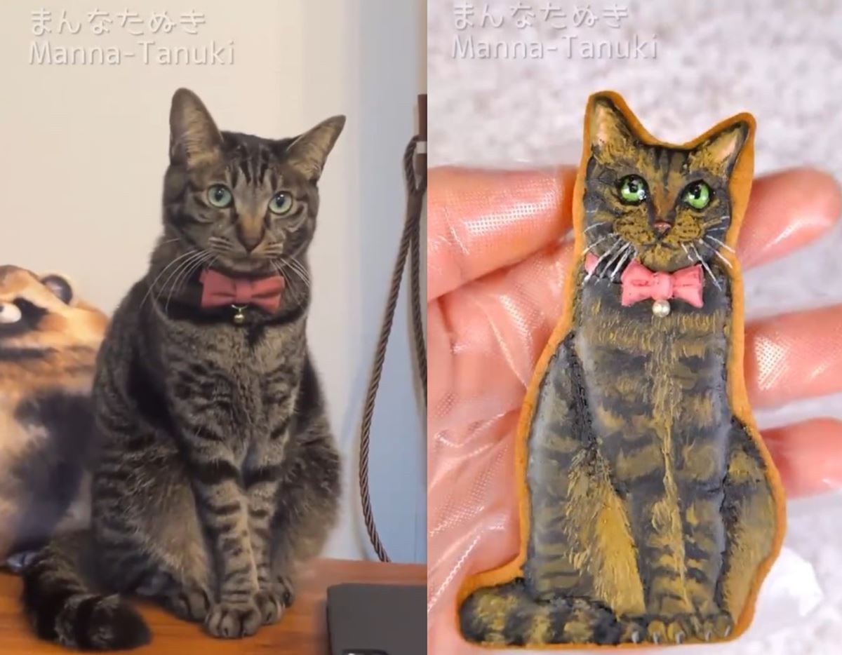 リアル猫ちゃん どっちが本物かわからんwww アイシングクッキーで再現した愛猫のリアルさに驚きの13万いいね 1 2 ページ ねとらぼ