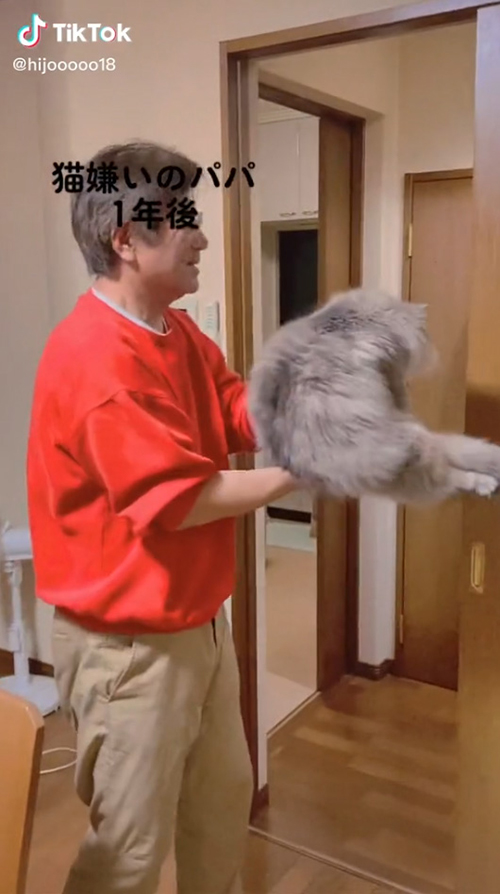 猫とお父さんの動画
