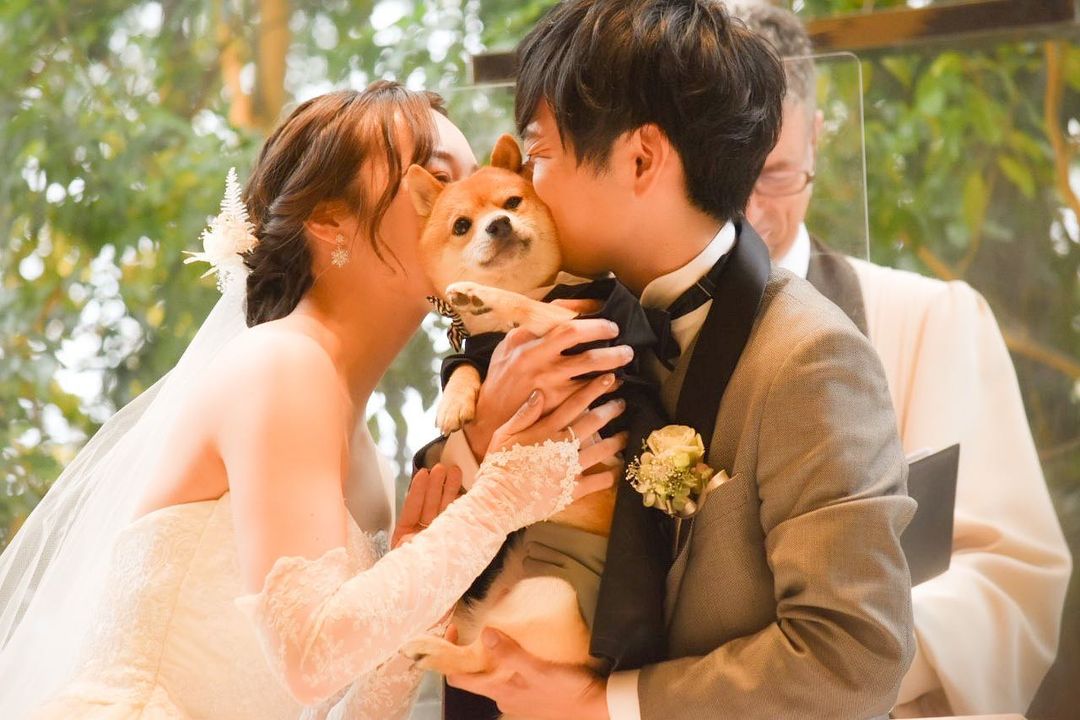 待望の結婚式 柴犬越しに 誓いのキス をして 幸せあふれる姿に 素敵すぎ この絵は憧れちゃう の声 1 2 ページ ねとらぼ